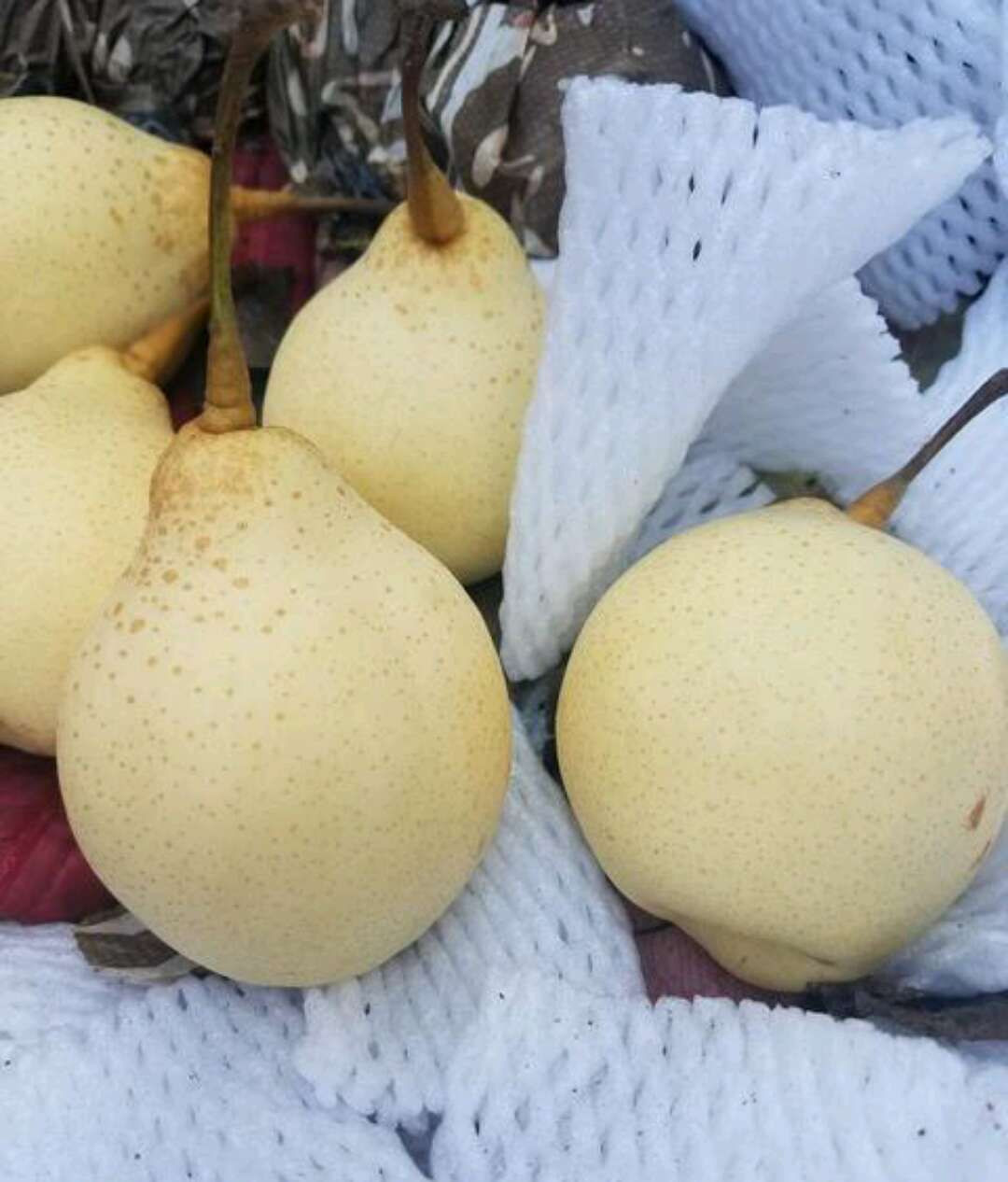 pear