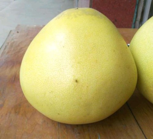 pomelo