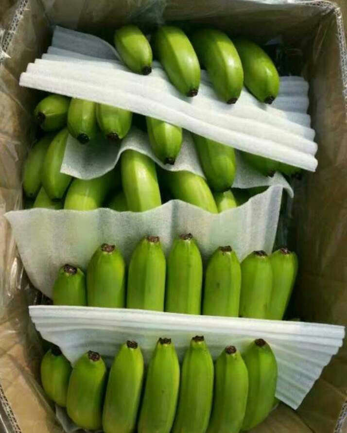 banana
