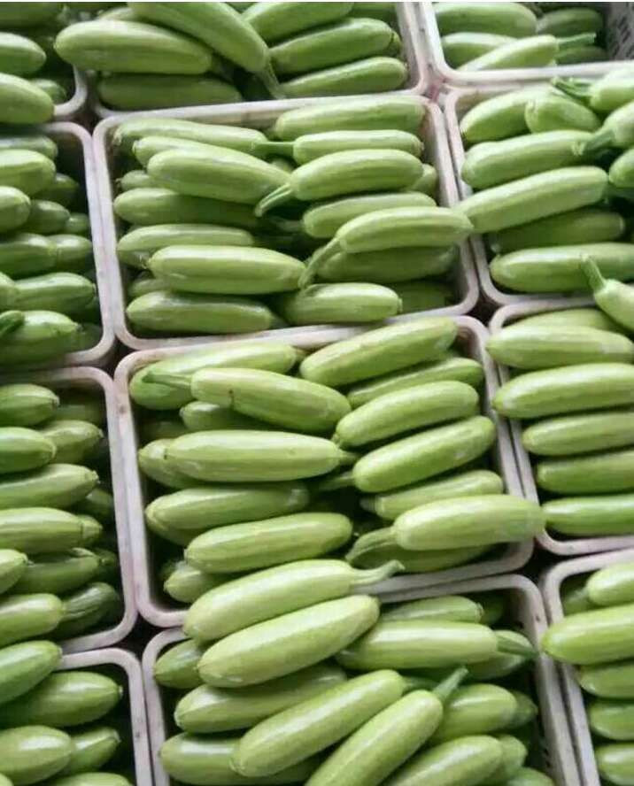 zucchini
