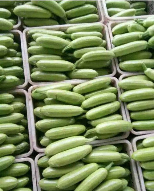 zucchini