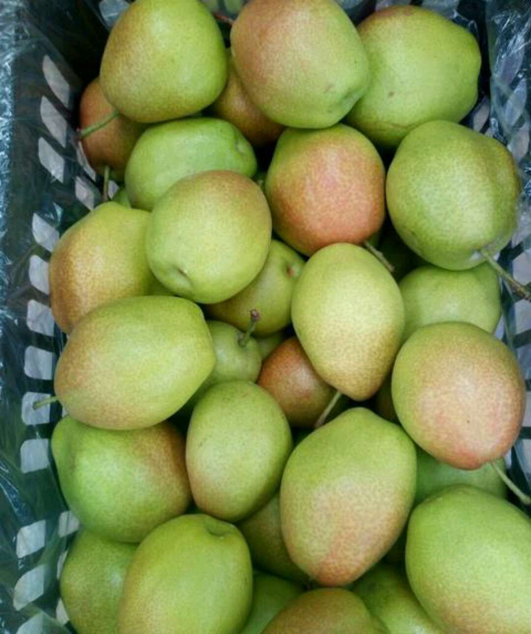 Red Fragrant Crispy Pear