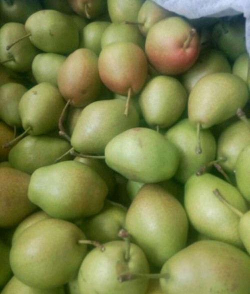 Red Fragrant Crispy Pear