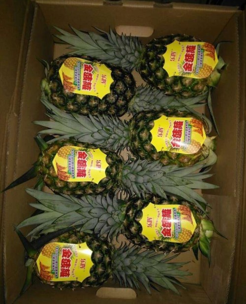 pineapple