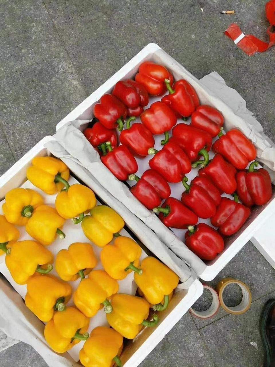 bell pepper