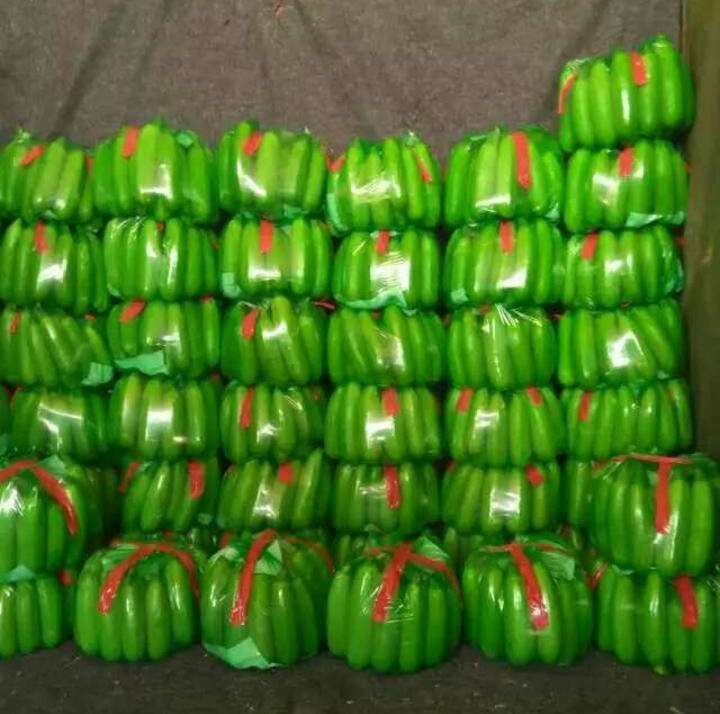 zucchini