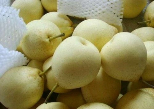 pear