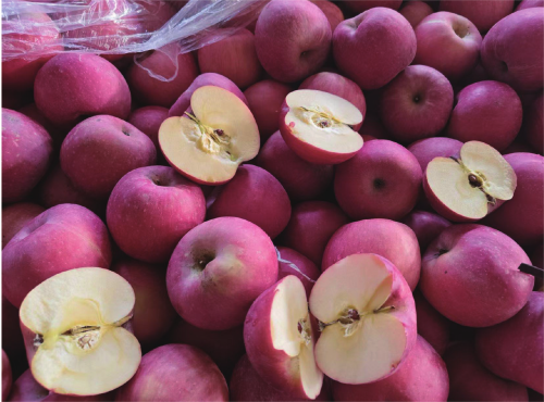 Red Fuji apple