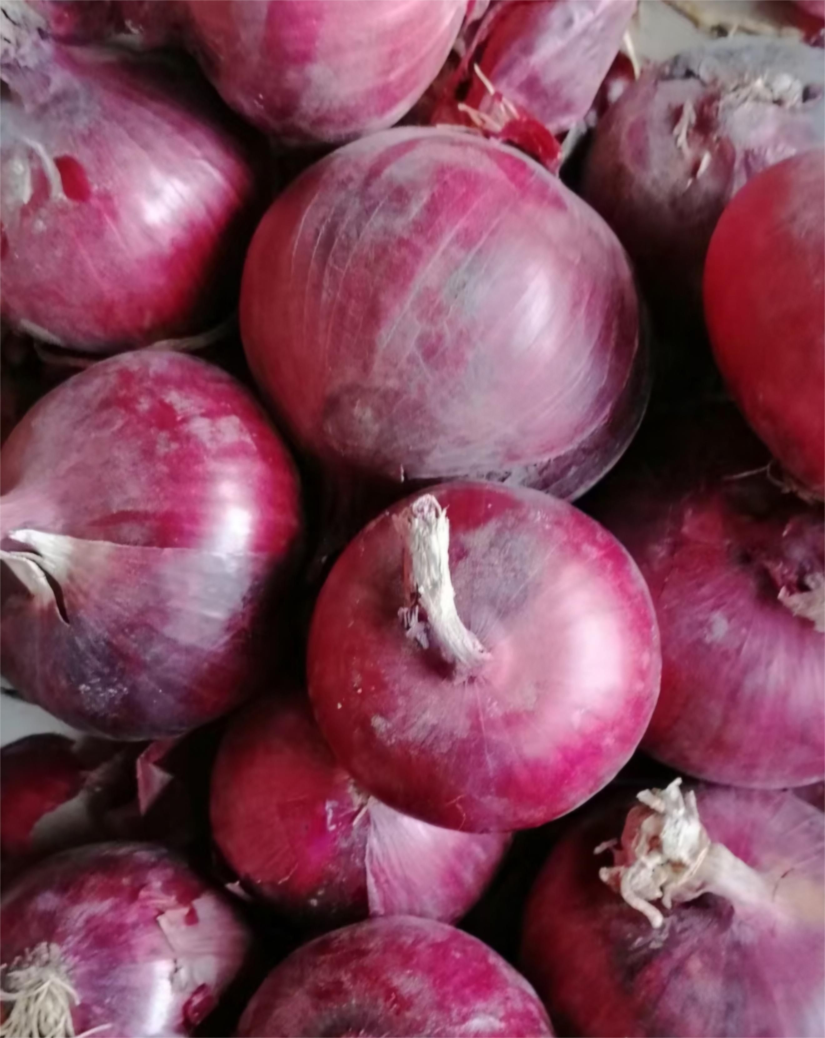 onion