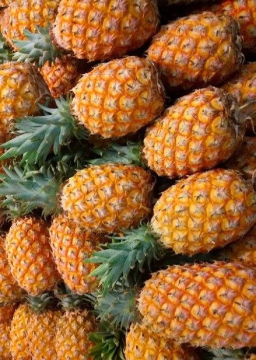 pineapple