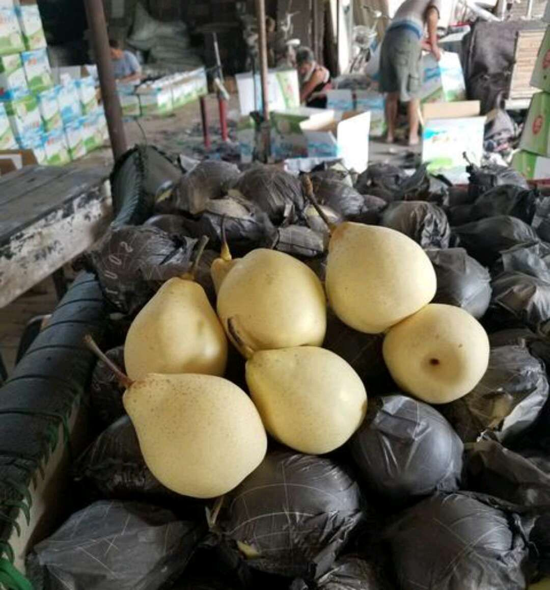 pear