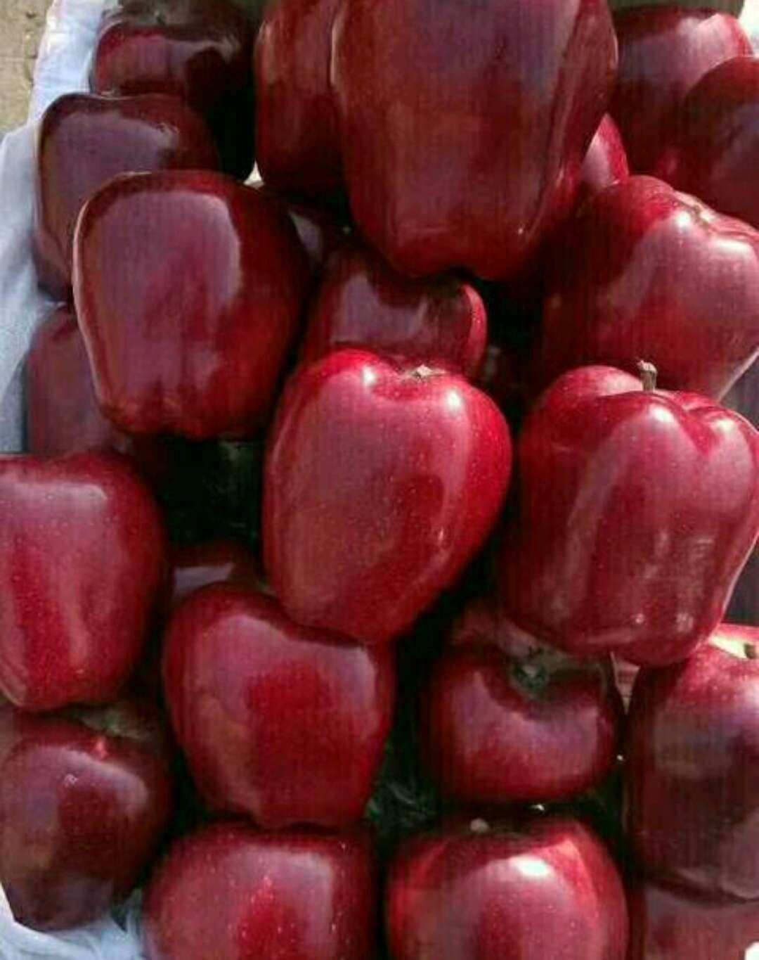 Flower Cow Apple