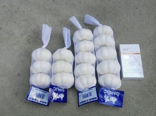 garlic